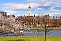 Harvard University, Cambridge, Massachusetts in the spring.