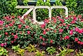 Sign for the Smithsonian National zoo, flowers surround the sign. Image credit melissamn via Shutterstock.