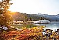 View of fall foliage along a lake in the Wind River Range in Wyoming.