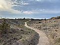 One of the Pinery’s many beautiful boardwalks leading through the delicate dunes and to the lengthy beach. Photo: Andrew Douglas