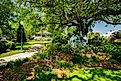 Verdant foliage in Marshall Park in Ocean Springs, Mississippi. Editorial credit: Fotoluminate LLC / Shutterstock.com