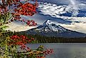 The beautiful fall color leaves at Lost Lake, Oregon