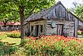 Castroville, Texas, poppies and historic buildings in the Texas Hill Country.