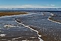 Bolshoi Bechichev island, Laptev Sea, Russia.