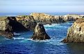 Mendocino Headlands State Park