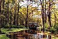 The Barataria Swamps around New Orleans, Louisiana. Editorial credit: LB Houston / Shutterstock.com.