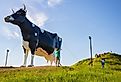 World's Largest Holstein Cow, New Salem, North Dakota. Image credit JWCohen via Shutterstock