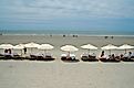 Umbrellas on beach at Kiawah Island near Charleston.