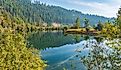 St. Joe River Scenic Byway in Idaho, landscape with brown thistles on Turtle Lake near Saint Maries, Idaho. Image credit Robert Appleby via AdobeStock.