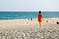 The main beach in East Hampton. Editorial credit: James Kirkikis / Shutterstock.com