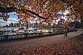 Fall colors in Stanley Park, Vancouver.