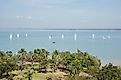 Sailboats in the Timor Sea in Darwin, Australia. Editorial credit: EA Given / Shutterstock.com