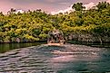 An airboat glides through the vast wetlands of the Florida Everglades