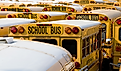 School buses in close formation. Image Credit ExaMedia Photography via Shutterstock.