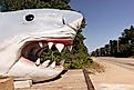 A big, fake shark along the side of the road in Wellfleet, Massachusetts. Editorial credit: Cavan-Images / Shutterstock.com