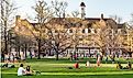 Students walk and sit outside on Quad lawn of University of Illinois college campus in Urbana Champaign