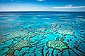 Aerial view of the Great Barrier Reef