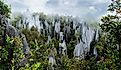 Gunung Mulu National Park