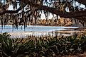 Scenic view of Lake Overstreet in Alfred B. Maclay State Gardens, Tallahassee, Florida.