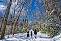 Family hiking in Blowing Rock, just off Blue Ridge Parkway.