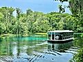 Boat ride with tourists at Silver Springs State Park Florida. Editorial credit: Paulm1993 / Shutterstock.com