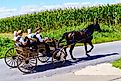 An Amish horse-drawn wagon travels on a rural road in Lancaster County. Editorial credit: George Sheldon / Shutterstock.com