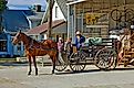 An Amish buggy in Shipshewana, Indiana. Editorial credit: Dennis MacDonald / Shutterstock.com