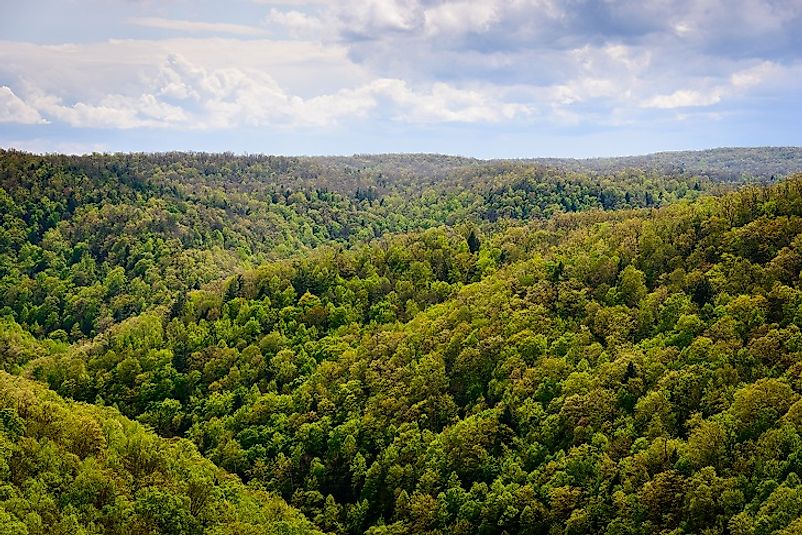 The Cumberland Plateau - Unique Places In The U.S.A. - WorldAtlas.com