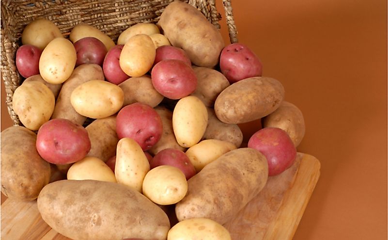 the-top-10-potato-producing-states-in-the-us-worldatlas