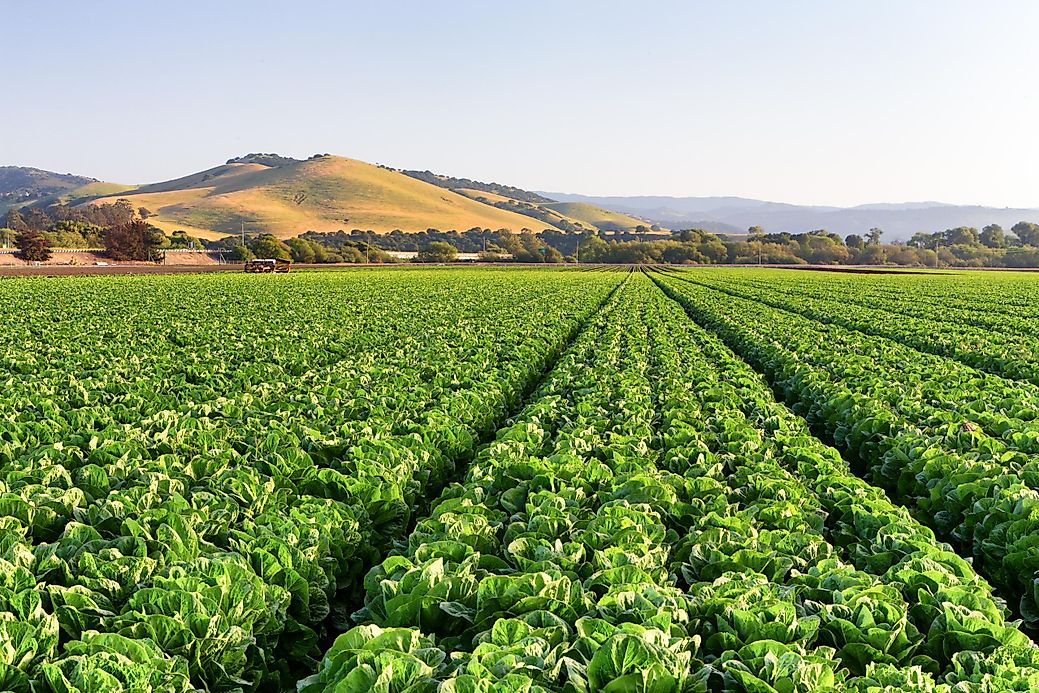 which-place-is-known-as-the-salad-bowl-of-the-world-worldatlas