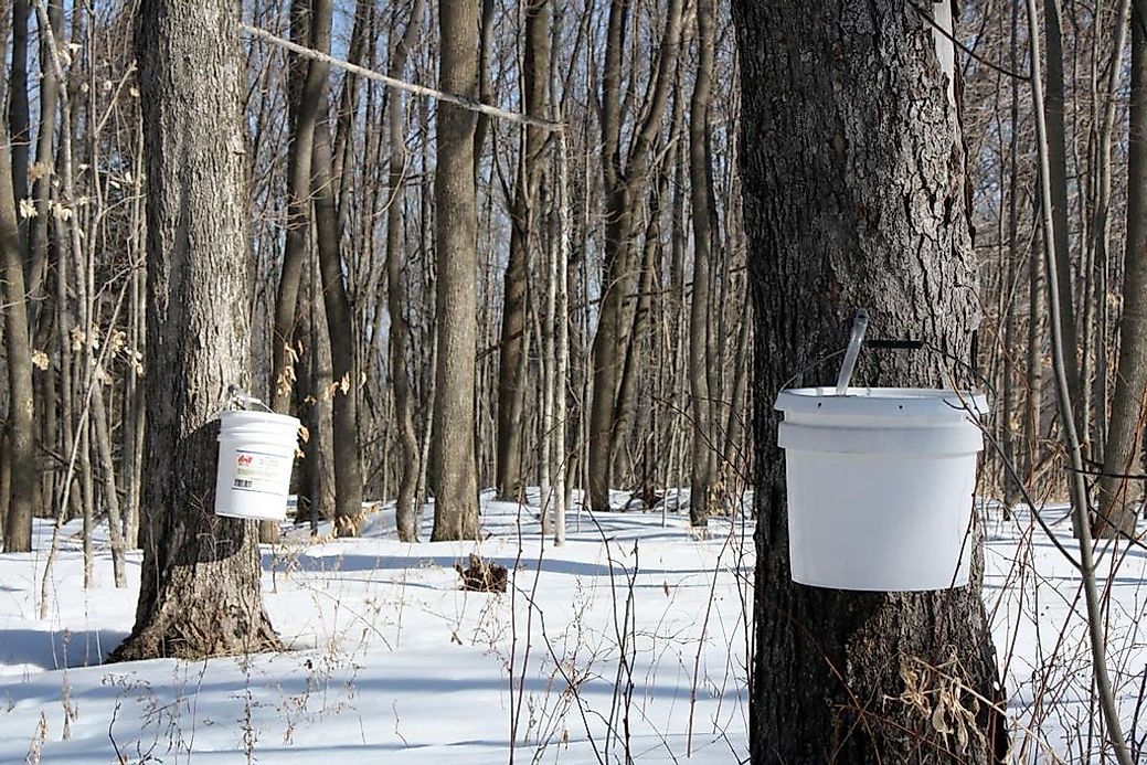 Secrets at Maple Syrup Farm by Rebecca Raisin