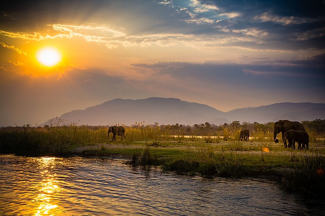 What Is The Source Of The Zambezi River WorldAtlas Com   Shutterstock 629874623 2 