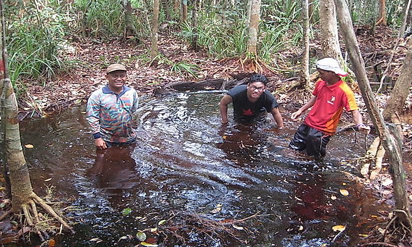 Ecological Regions Of Malaysia - WorldAtlas.com