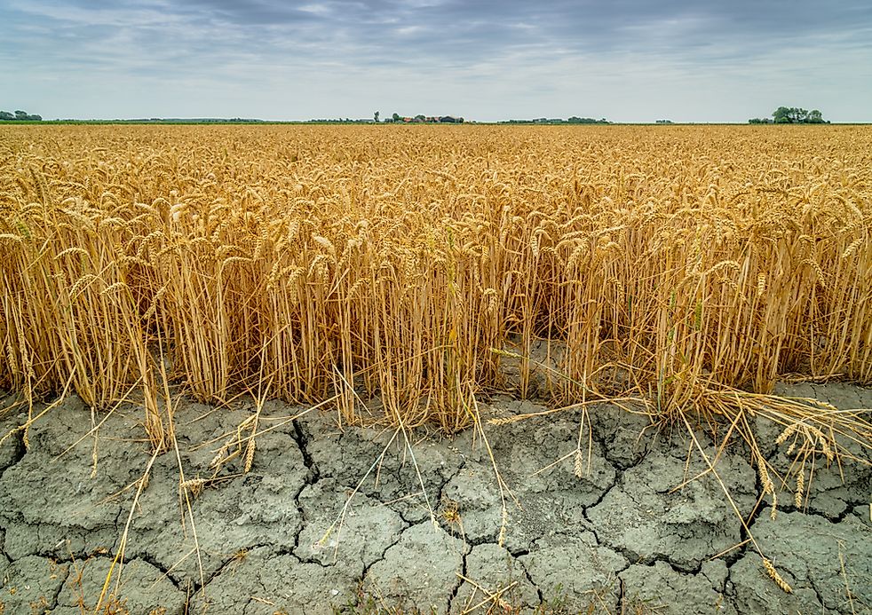 what-are-the-different-types-of-drought-worldatlas