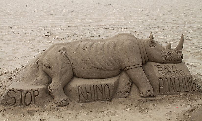 Types Of Rhinos Living Around The World Today - WorldAtlas.com