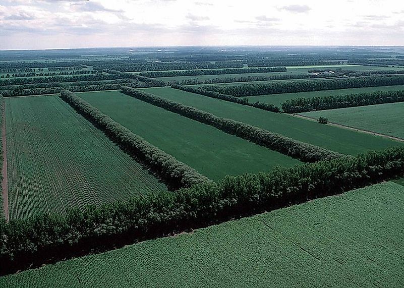 windbreaks-and-shelterbelts-wind-erosion-control-in-farming