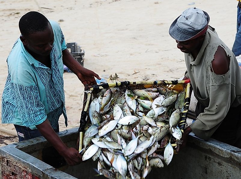 native-fish-species-of-kenya-worldatlas