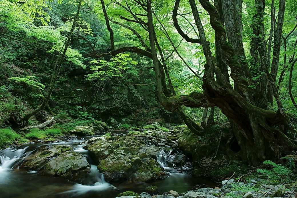 The Ecological Regions Of Japan - WorldAtlas.com