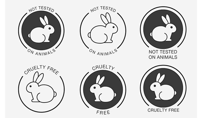 Is Animal Testing Illegal In The Us