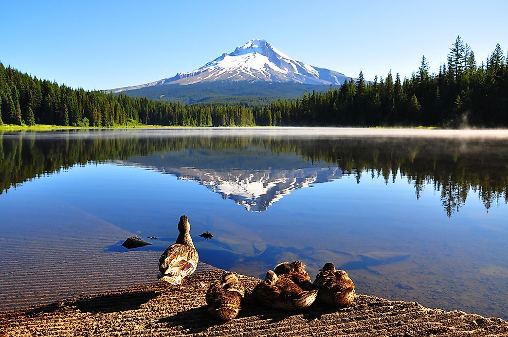 The 10 Highest Peaks In Oregon - WorldAtlas.com