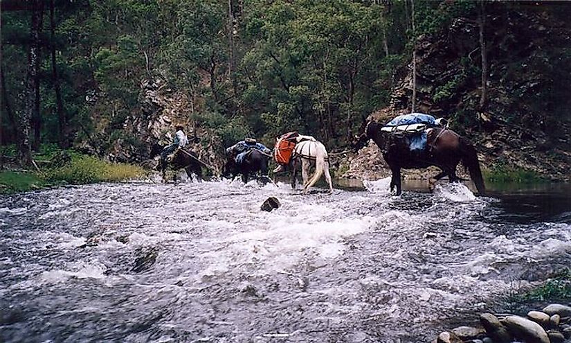 Exploring Australia: The Longest Hiking Trails In The Country