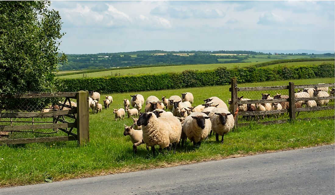 what-are-the-major-natural-resources-of-the-united-kingdom