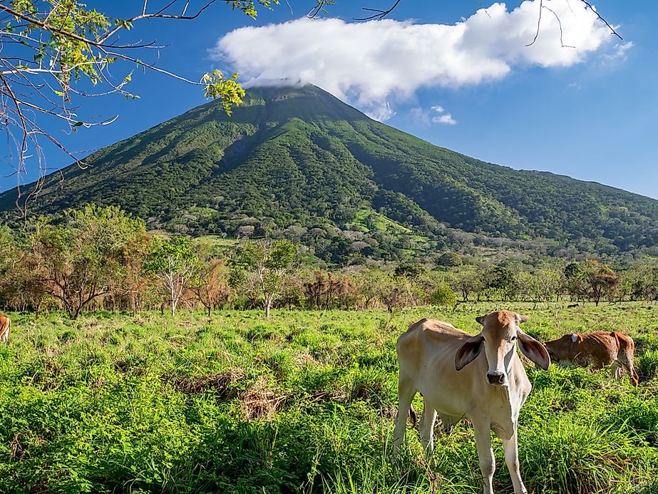 What Are The Major Natural Resources Of Nicaragua? - WorldAtlas.com