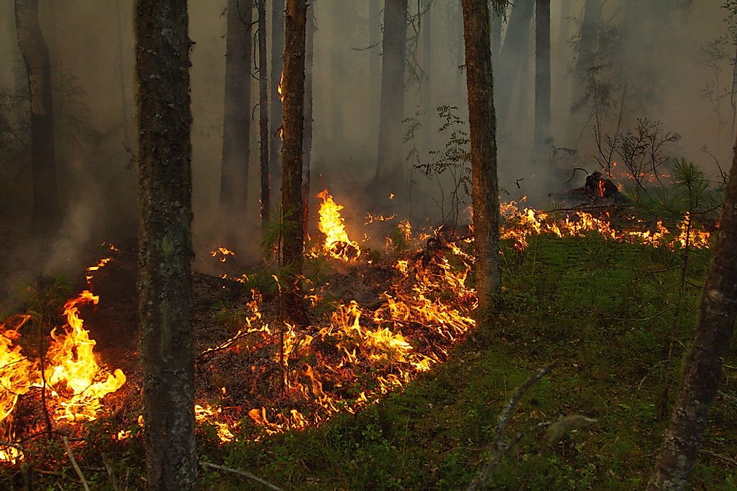 largest-brush-and-forest-fires-in-recorded-history-worldatlas