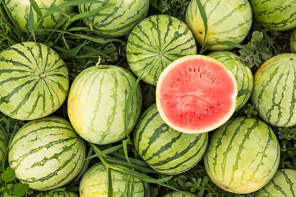 Top Watermelon Producing Countries In The World WorldAtlas Com   Shutterstock 698129545 