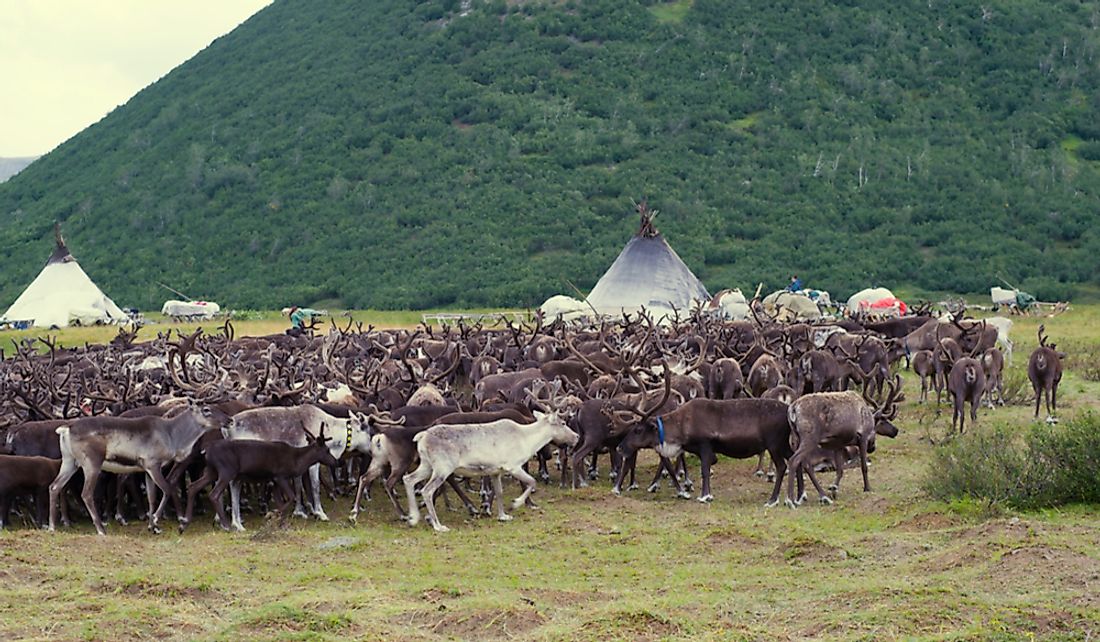 Countries Where Nomadic Pastoralism Is Still A Way Of Life WorldAtlas