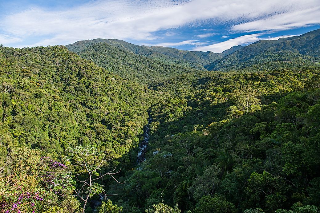 The Biodiversity Hotspot of the Atlantic Forest - WorldAtlas.com