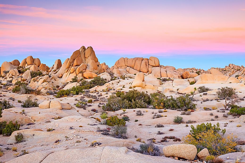 The Major Deserts Of The United States WorldAtlas Com   Shutterstock 169024493 