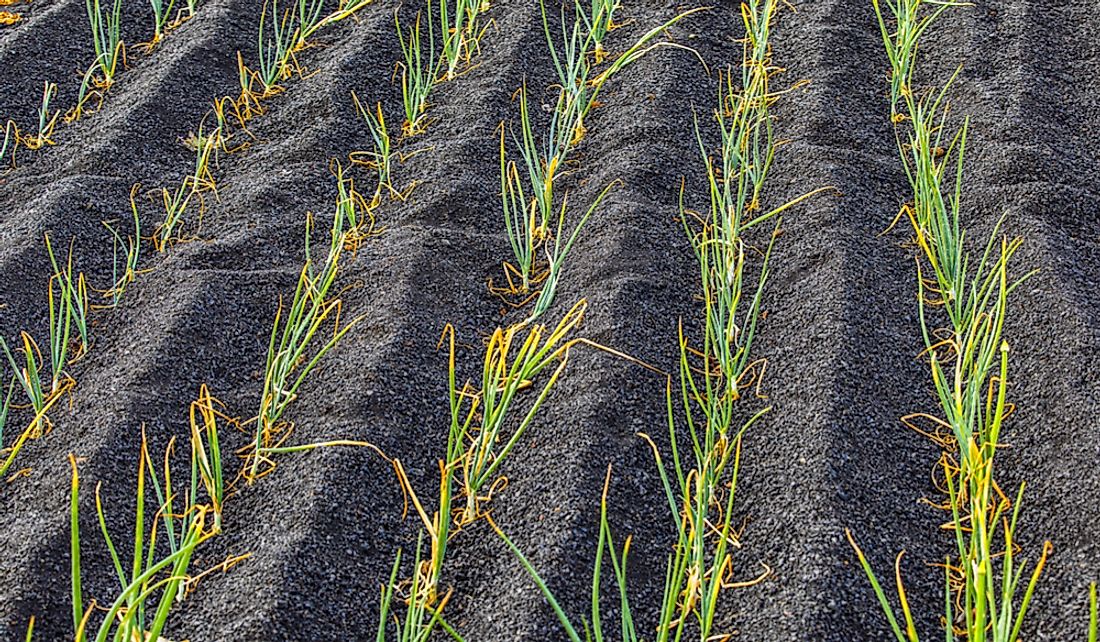 why-is-volcanic-soil-fertile-worldatlas