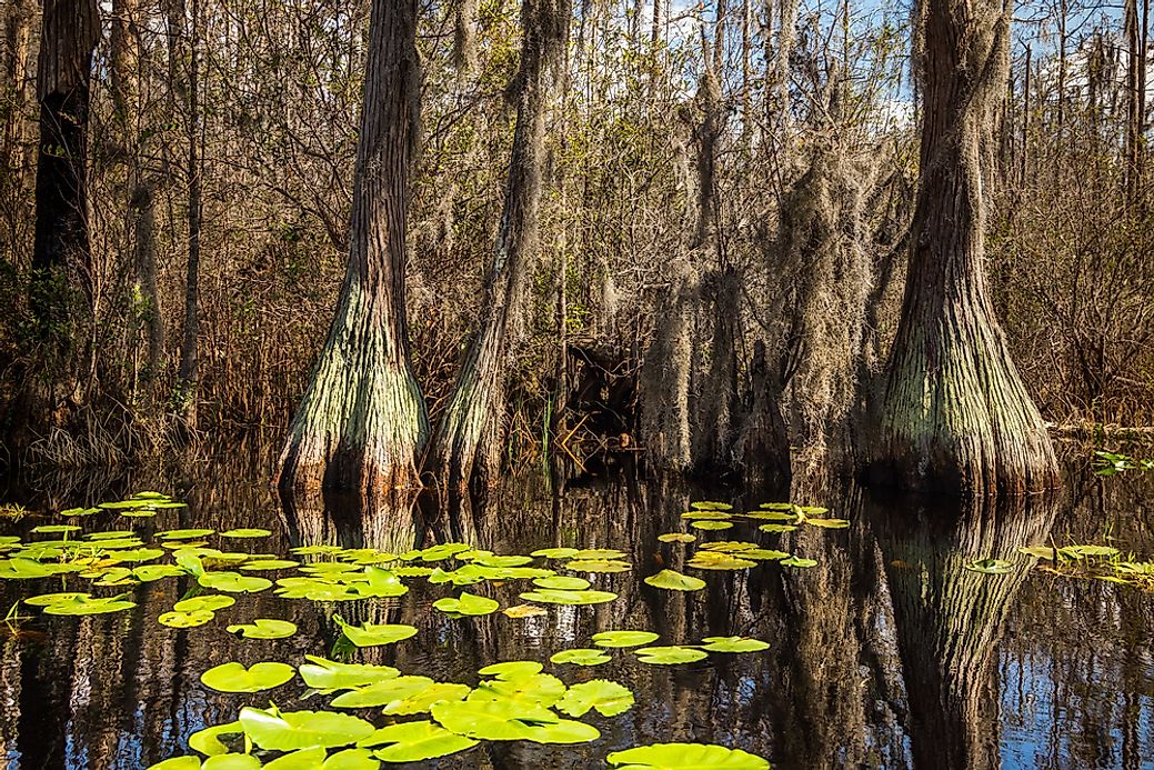 The 11 National Natural Landmarks of Georgia - WorldAtlas.com